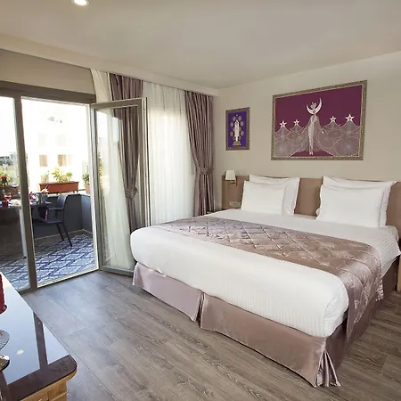 تاكسيميست اسطنبول