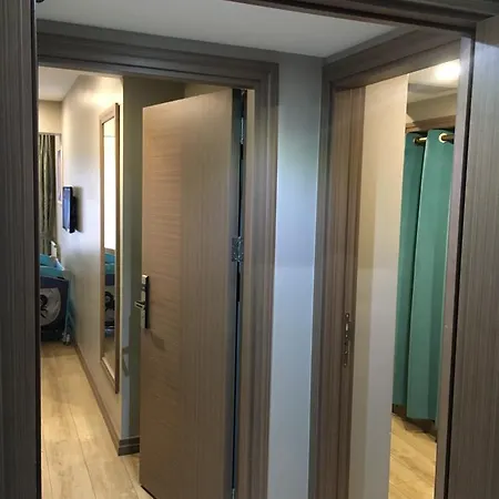 تاكسيميست فندق